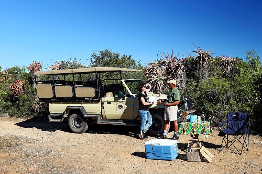 Hotel Elephant House Addo Exterior foto