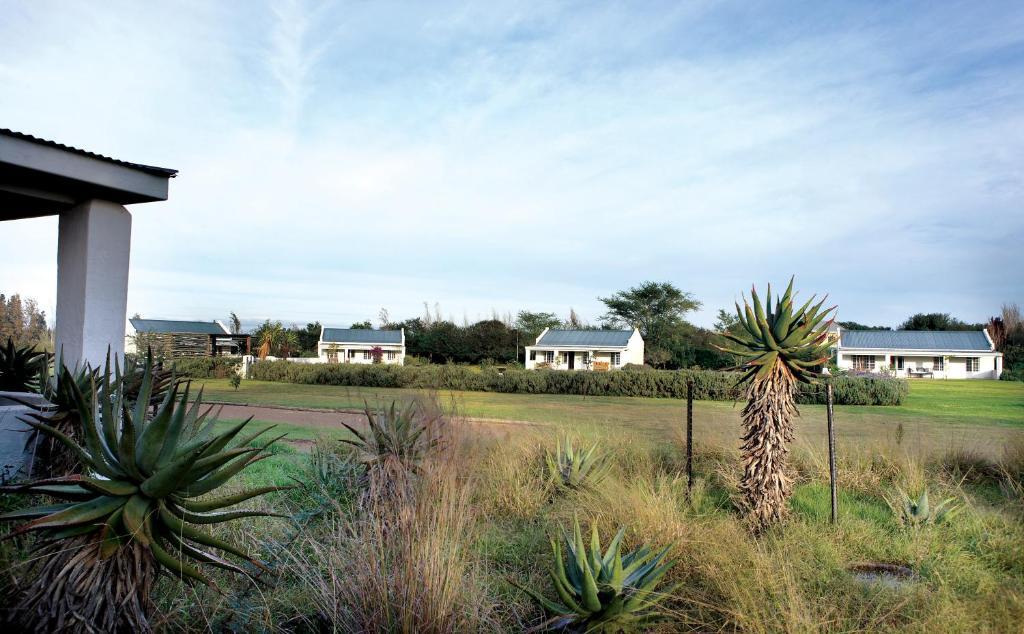 Elephant House Addo Habitación foto